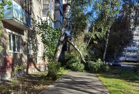 Обстановка ярославль