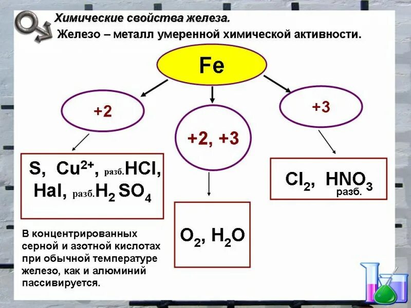 Схему "железо и его соединения". Химические свойства железа +2 +3. Химические свойства железа 2 и 3 таблица.