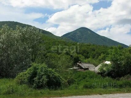 Михайловский краснодарский