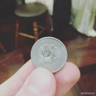Жизнь монет