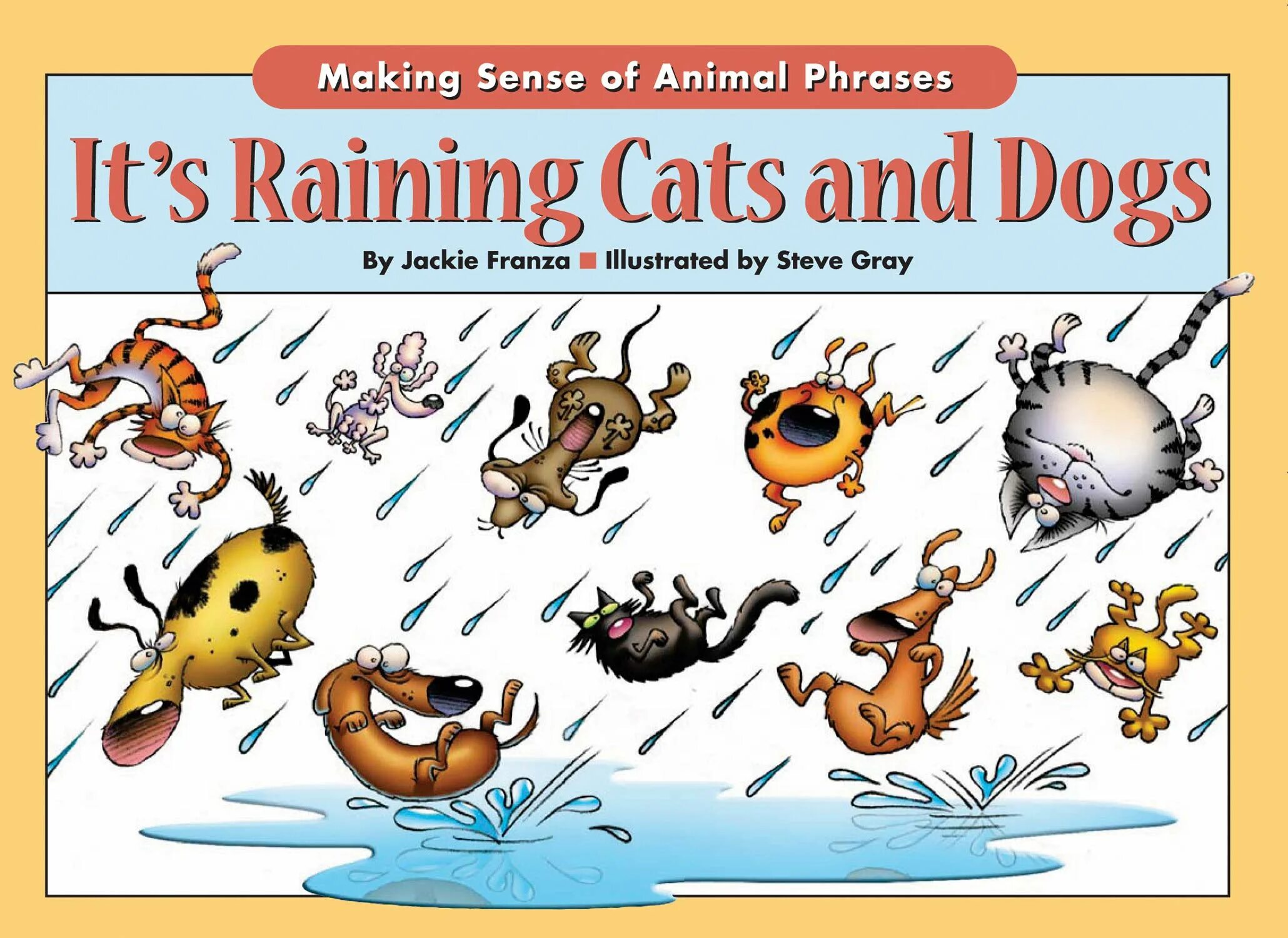 Идиома it's raining Cats and Dogs. Rain Cats and Dogs идиома. Идиома дождь из кошек и собак. Дождь из кошек и собак на английском.