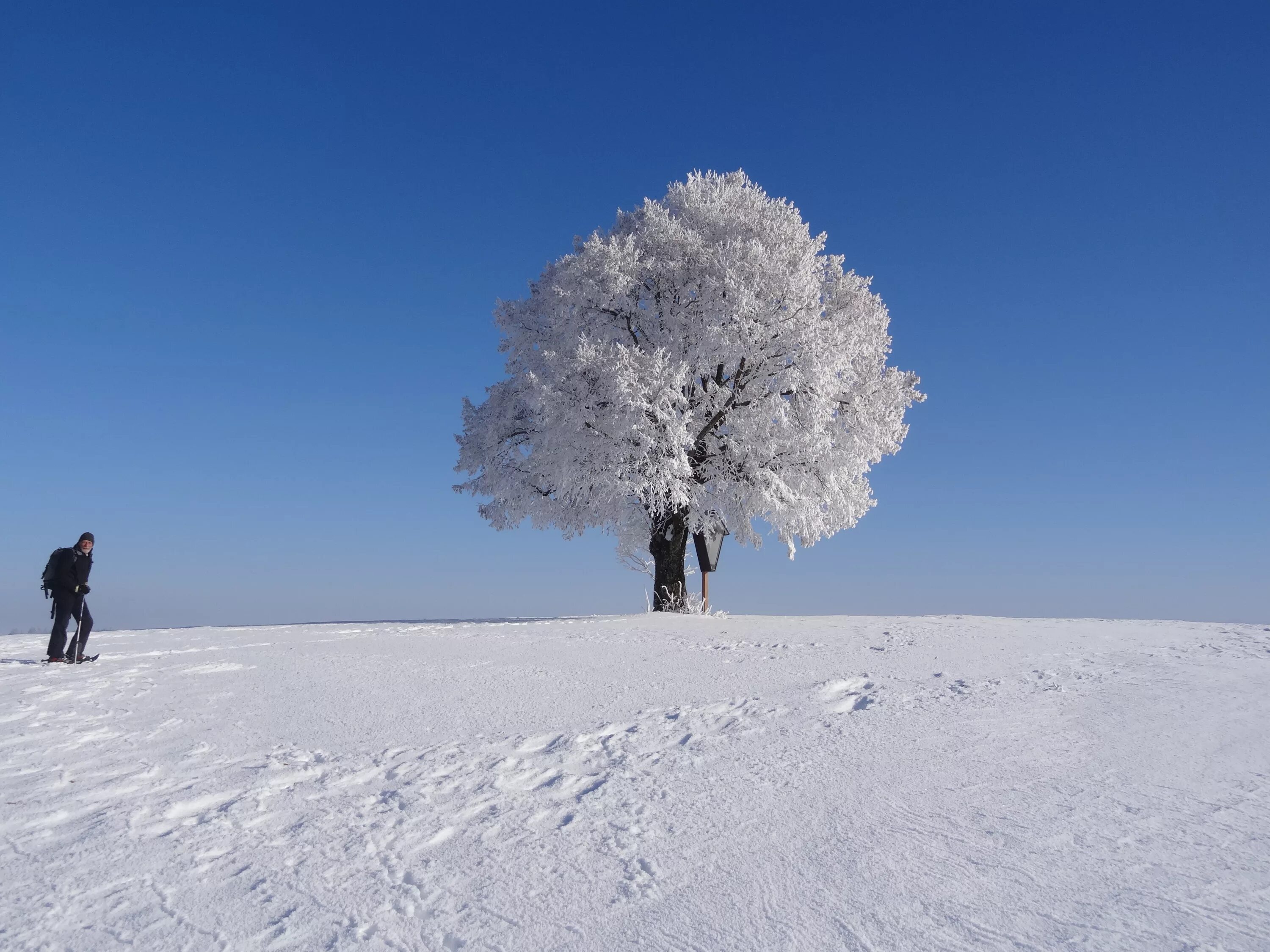 Cold and snowy. Холодный снег. Зима холода. Холод деревья. Холод снег.