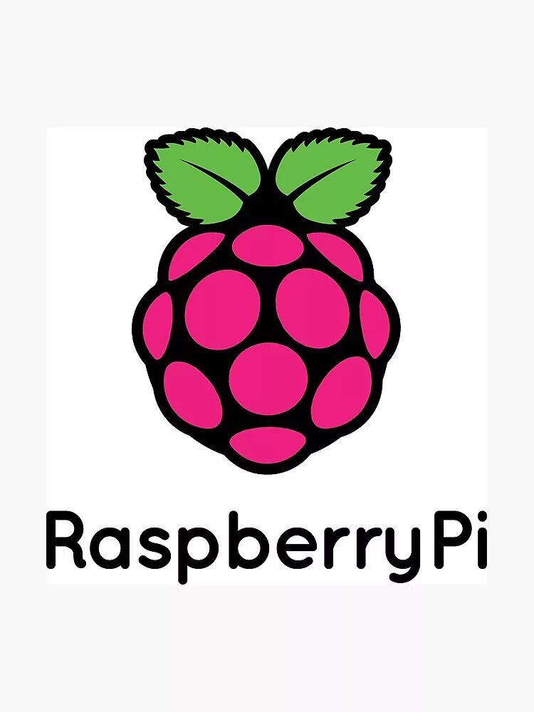 Raspberry pi операционная система. Малинка raspberry pi. raspberry pi os. raspberry pi logo. raspbian os.
