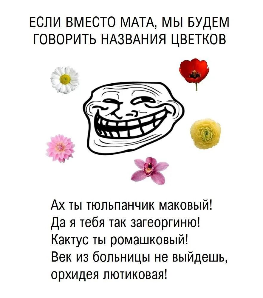 Какое название ты бы дал этому разделу. Смешные стихи. Вместо мата названия цветочков. Название цветов вместо матов. Мемы вместо мата названия цветочков.