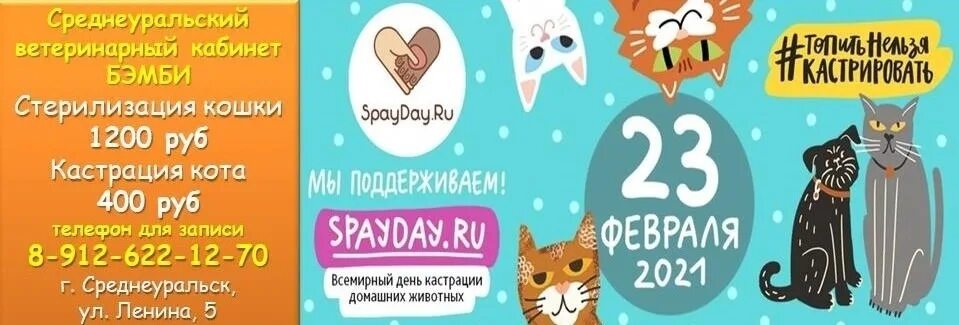 День кастрации 2024. День кастрации домашних животных. Всемирный день стерилизации домашних животных. Международный день кастрации животных. Всемирный день кастрации и стерилизации животных.