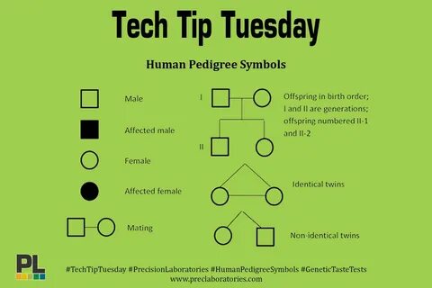 Human Pedigree Symbols #TechTipTuesday #PrecisionLaboratories #Genetics Bir...