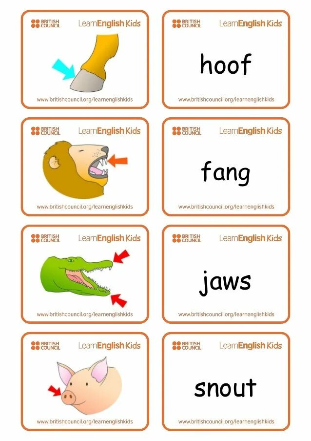 Части тела животных Worksheets. Карточки body Parts. Части for Kids Flashcards. Body Parts for Kids животные.