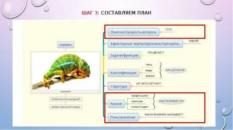Хамелеон составить вопросы
