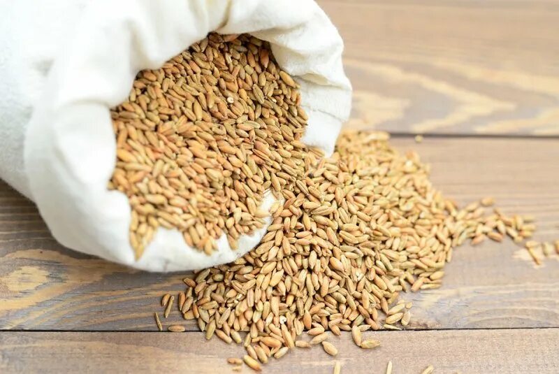 Сельскохозяйственная продукция зерно. Пошлина на экспорт пшеницы. Рынок пшеницы. Сбор пшеницы. Экспорт сельскохозяйственной продукции.