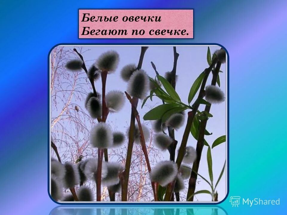 Бегают по свечке. Зеленая роща терренкур. Бегают по свечке. Человек бежит сток. Бег на природе.