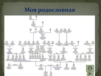 Лицо родословная которого составляется называется