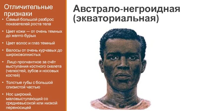 Адаптация негроидной расы. Признаки автро Негройдная расы. Экваториальной раса (австрало-негроидная). Признаки австралонегроидной расы. Австрало негроидная раса признаки.