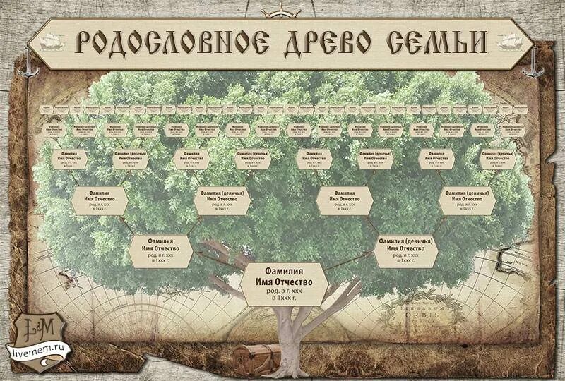 Как узнать имена родственников. Генеалогическая схема рода. Пример древа семьи схема. Таблица генеалогическое Древо семьи. Родословная дерево.