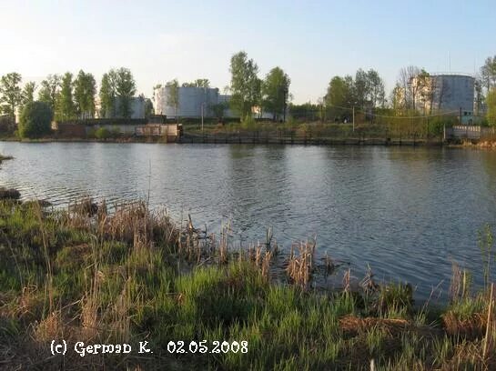 Базовский пруд очаково. Очаковский пруд москва. Старое очаково фото. Базовский пруд химки. Базовский пруд очаково.