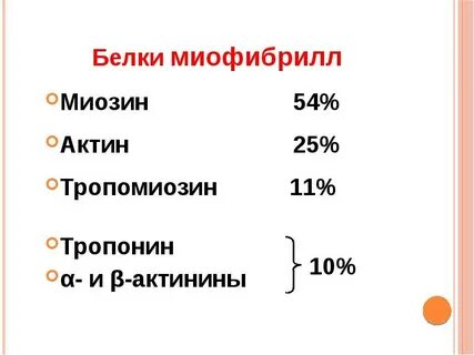 Основные белки миофибрилл