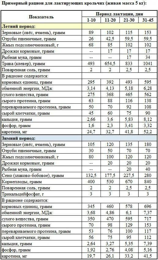 Чем можно кормить домашних кроликов. Рацион питания кроликов. Кормление декоративных кроликов таблица. Рацион питания домашних кроликов. Что можно и нельзя кролику таблица.