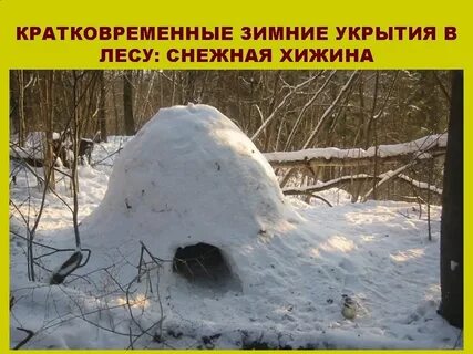 Виды укрытий зимой