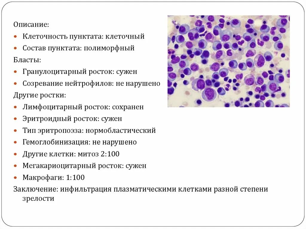 Цитологическое исследование пунктата. Клеточный состав лимфатического узла. Цитологическое исследование плевральной жидкости. Цитология плевральной жидкости.