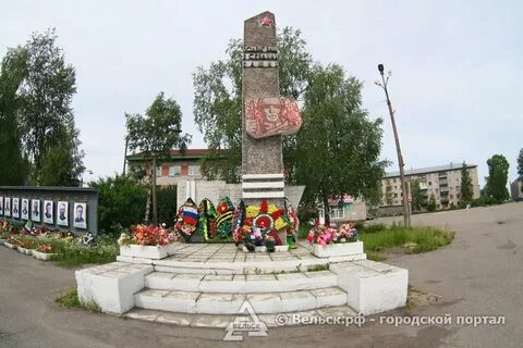 Коноша архангельская