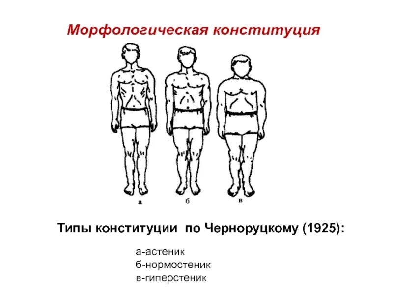 Что такое конституция астеник нормостеник. Нормостеник тип телосложения у женщин. Типы телосложения мужчин астеник нормостеник гиперстеник. Нормостенический тип телосложения. Конституция тела нормостеник.