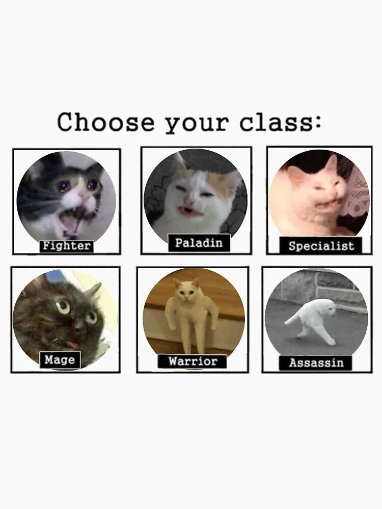 Choose your Fighter Мем. Мем про choose your. Choose your Fighter Cat. Мем кот класс. Choose your first