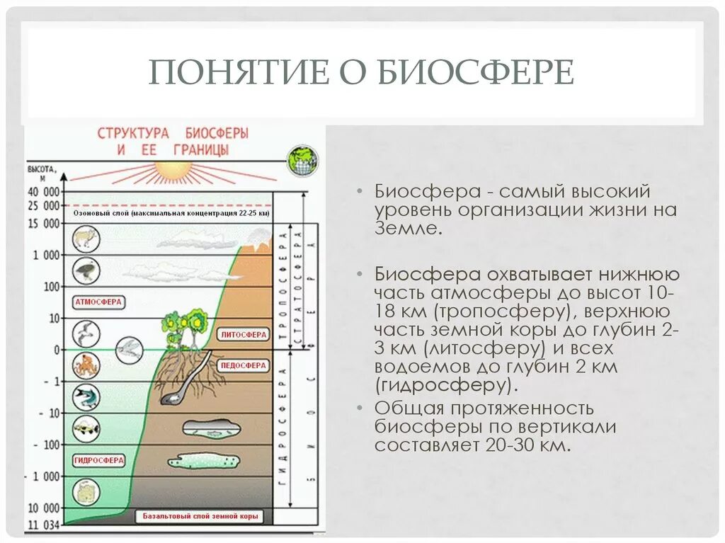 Понятие Биосфера. Понятие и границы биосферы. Основные понятия биосферы. Биосфера понятие биосферы. Границы жизни атмосферы