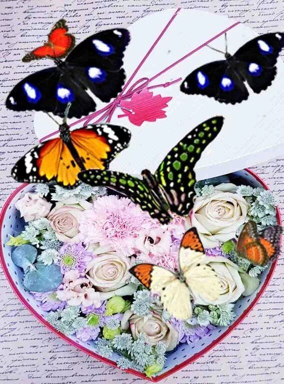Цветы и бабочки в подарок. Букет с бабочками живыми. Цветы с бабочками в коробке. Коробочка с цветами и бабочками. Магазин бабочка москва
