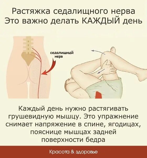 Можно ли ходить при защемлении седалищного нерва. Растяжка седалищного нерва. растяжка седалищного нерва упражнения. растяжка при седалищном нерве. упражнения для для растяжки спины и седалищного нерва..