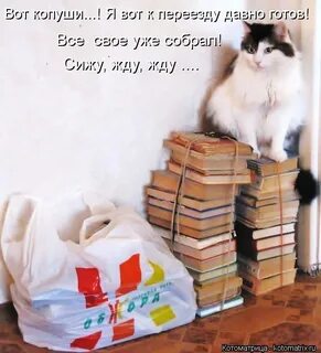 Пожелания на новом месте