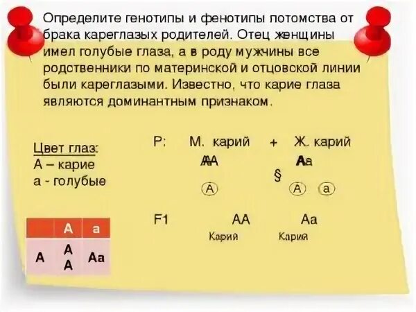 Решил отец разделить имущество между тремя сыновьями. Горький шоколад цвет волос. Таблица цвета волос у ребенка. Наследники первой очереди. Наследование цвета глаз у человека генетика.