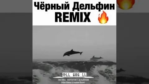 Слушать песню гио черный дельфин