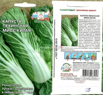 Сколько пекинская капуста