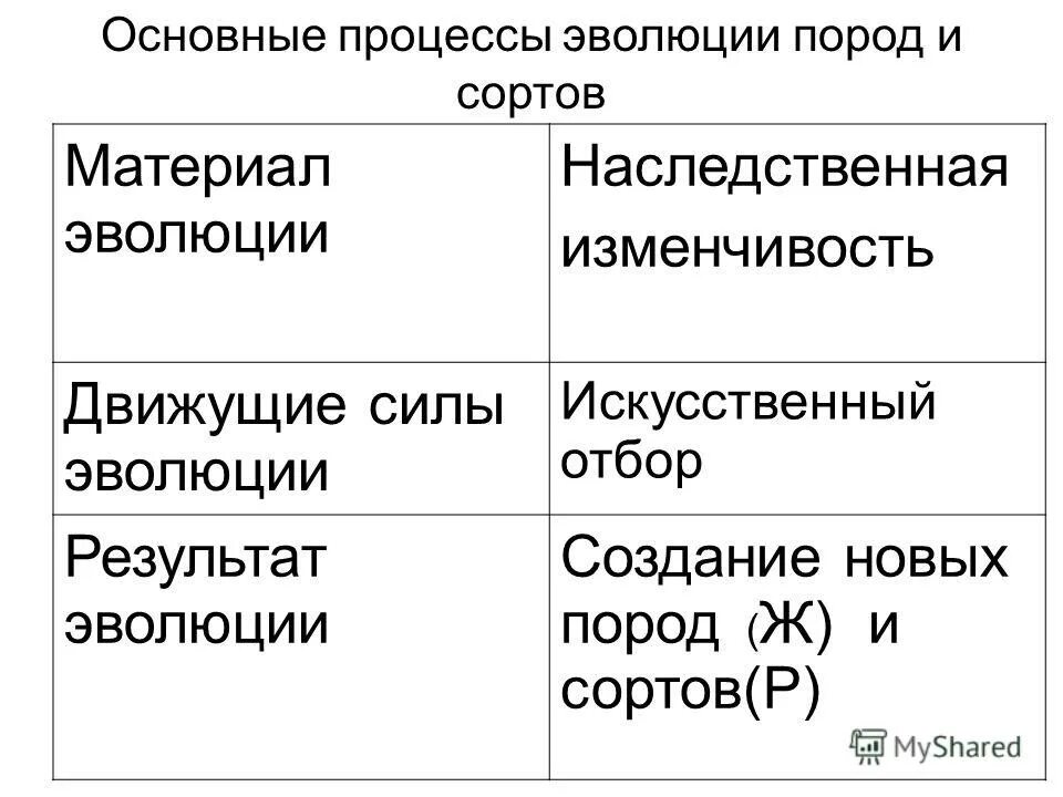 движущие силы эволюции искусственного отбора. движущие силы эволюции наследственная изменчивость. движущая сила искусственного отбора. движущие силы эволюции искусственного отбора. движущая сила искусственного отбора.