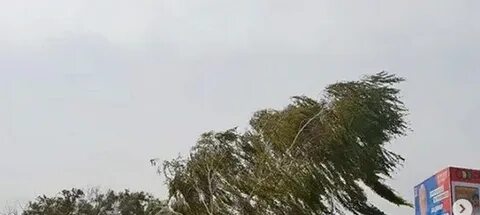 Погода азовская на 3 дня