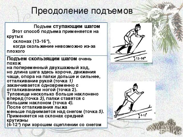 Преодоление подъемов и спусков на лыжах. Техника преодоления подъемов. Преодоление подъемов на лыжах. Техника спуска на лыжах с пологого склона.