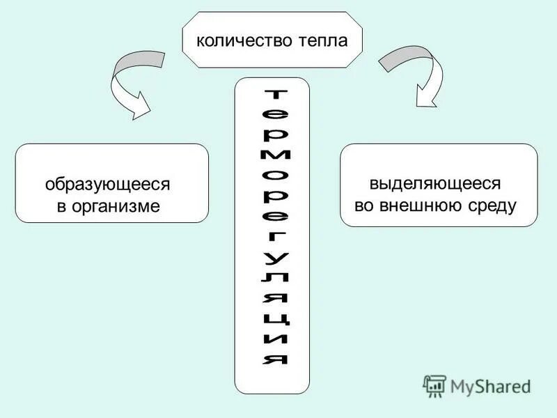 Окружение чисел