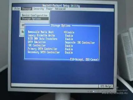 Hewlett packard setup