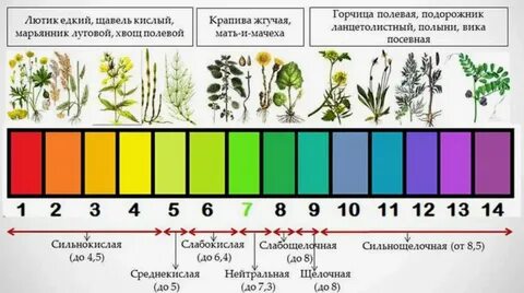 Щелочная земля