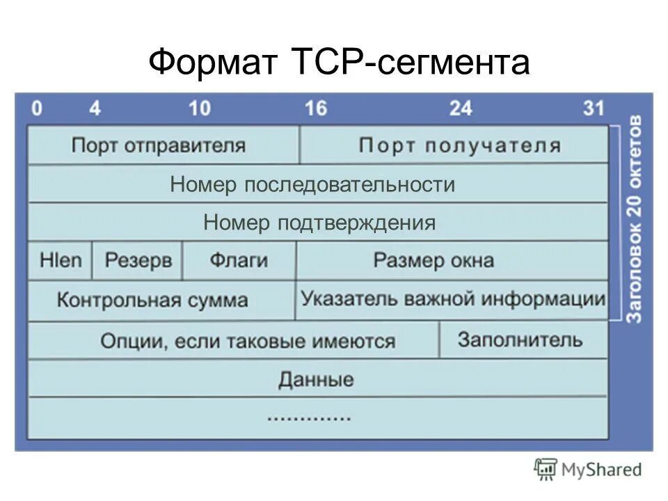 Номер сегмента. Номер сегмента