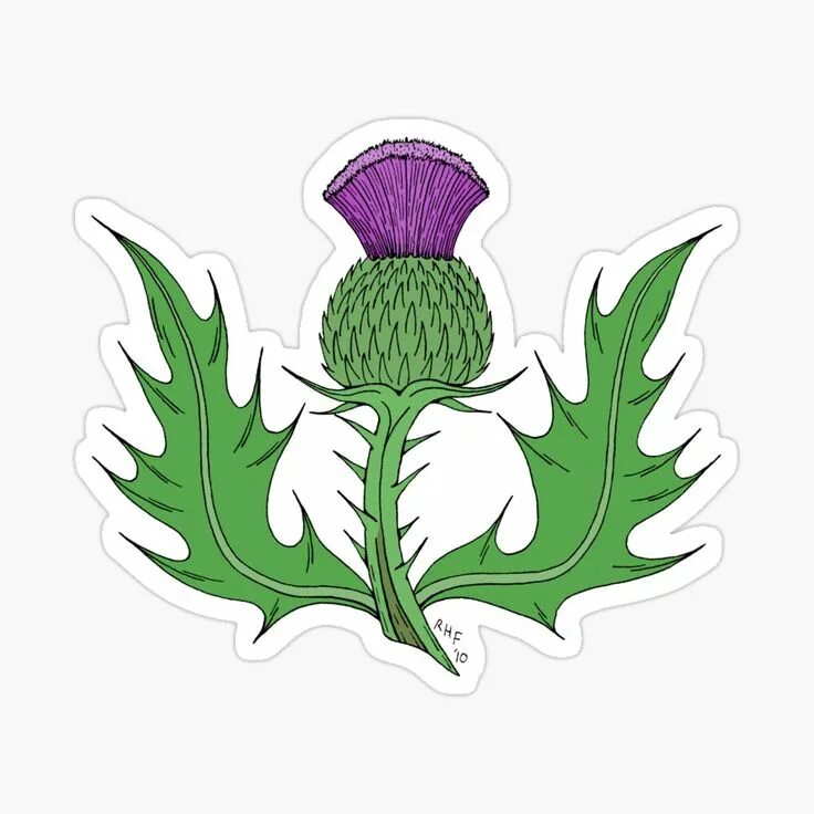 A thistle is the symbol of