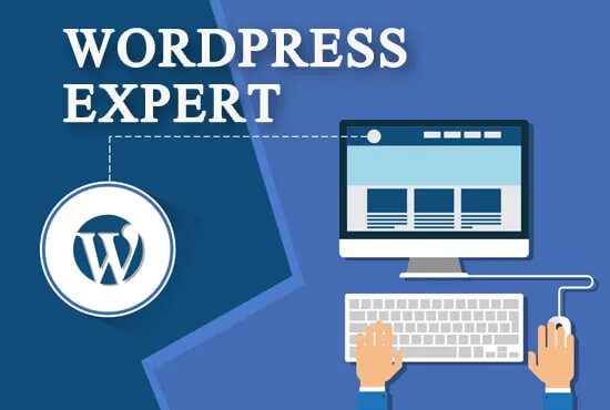 Разработчик wordpress. WORDPRESS developer. Картинка доработка сайта на WORDPRESS. Картинка натяжка сайта на WORDPRESS. Hire WORDPRESS Dev.