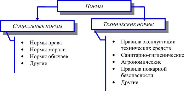 ПРАВО В СИСТЕМЕ НОРМ - Теория государства и права