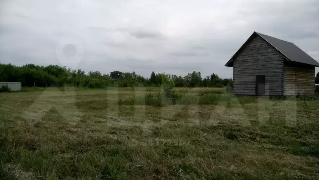 Царёвка Тамбовская область Знаменский район. Село Царевка Знаменского района Тамбовской области. Поселок Кузьминский Тамбовская область Знаменский район. Тамбовская область Знаменский район с Дуплято-Маслово.