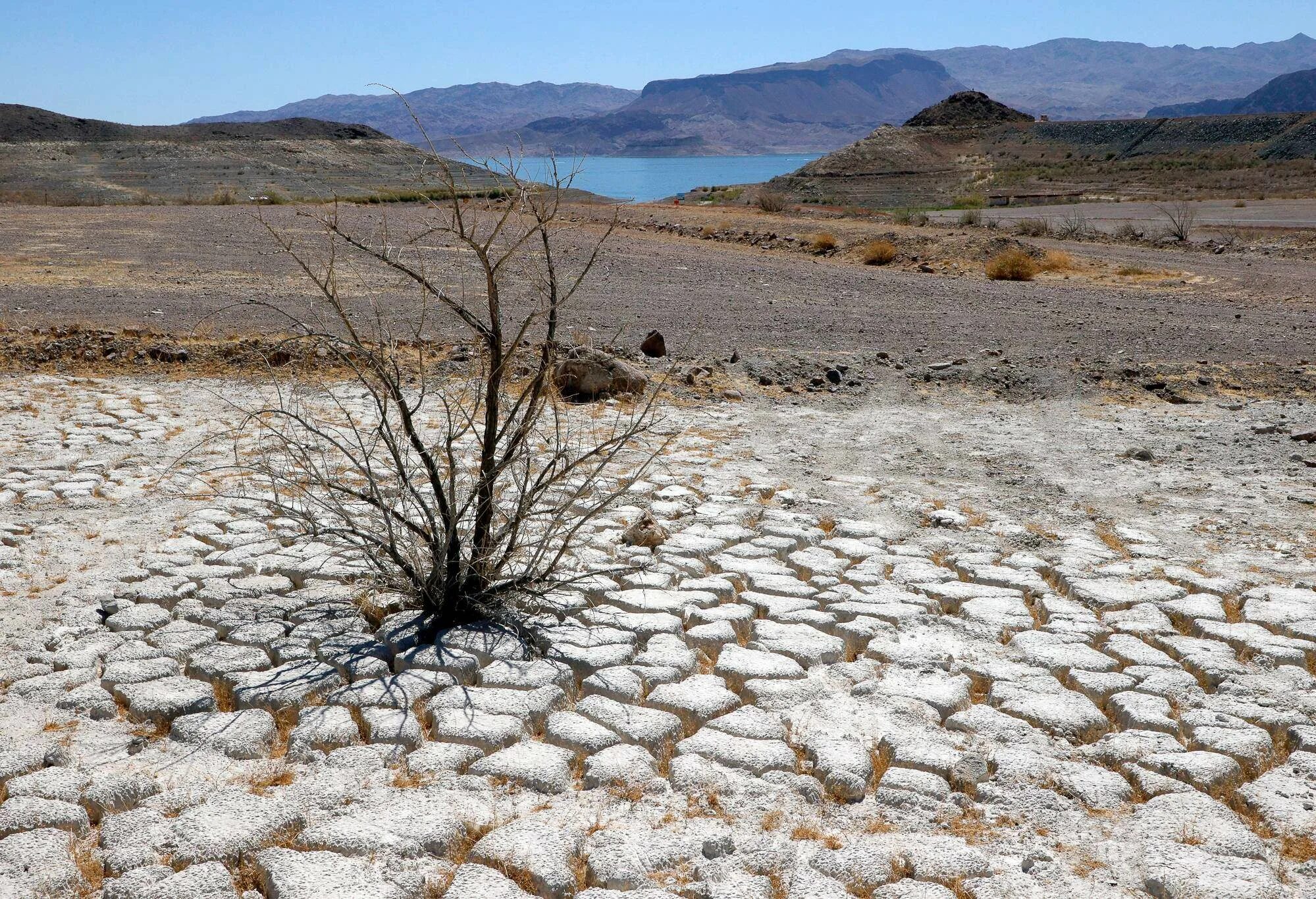 Засуха в мире. Озеро МИД засуха. Засуха фото. Выжженная пустыня. Жара засуха.