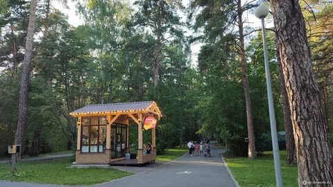 Роща домики