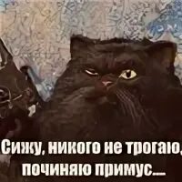 Не трогай меня. Зря не трогаю. Товар руками не трогать. Прикольные сфинксы. Никого не трогаю починяю примус.