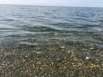 Абхазия море вода