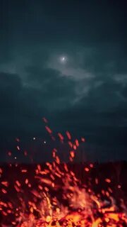 Неба черном загораются огни