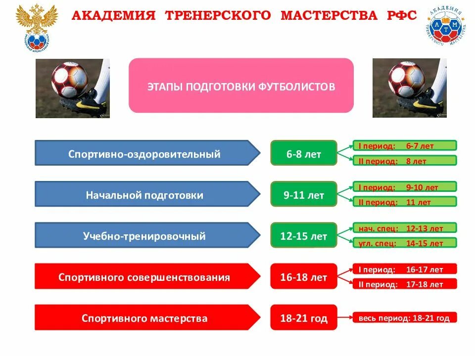 Специализация спортсмена 10. Этапы подготовки в футболе. Этапы спортивной подготовки футболистов. Этапы многолетней подготовки футболистов. Задачи этапов спортивной подготовки.