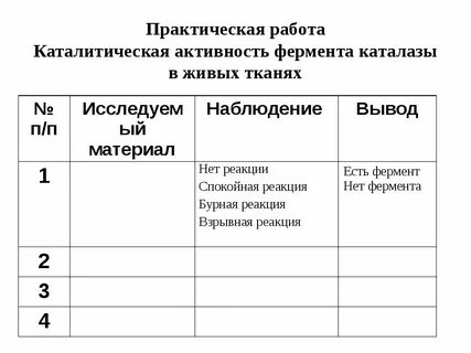 Лабораторная работа по биологии фермент каталаза